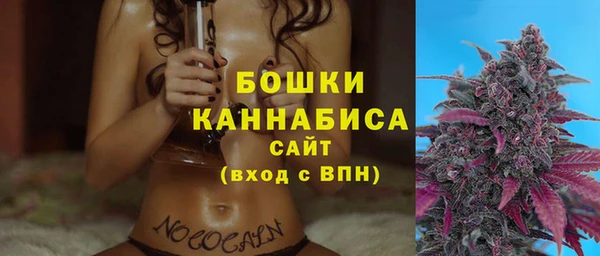 сатива Володарск