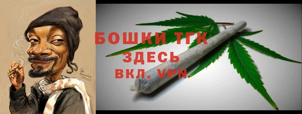 сатива Володарск