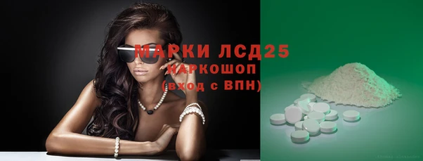 сатива Володарск
