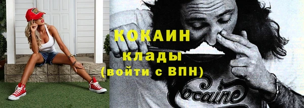 сатива Володарск