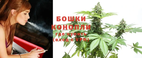 сатива Володарск