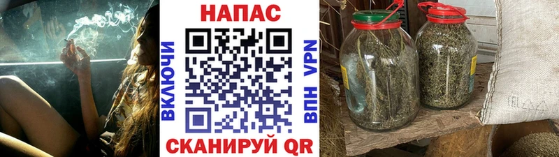Бошки Шишки ГИДРОПОН Елец